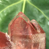 Vivid Ishuko Red Phantom Quartz Cluster, Hematite included Quartz from the Central Province of Zambia