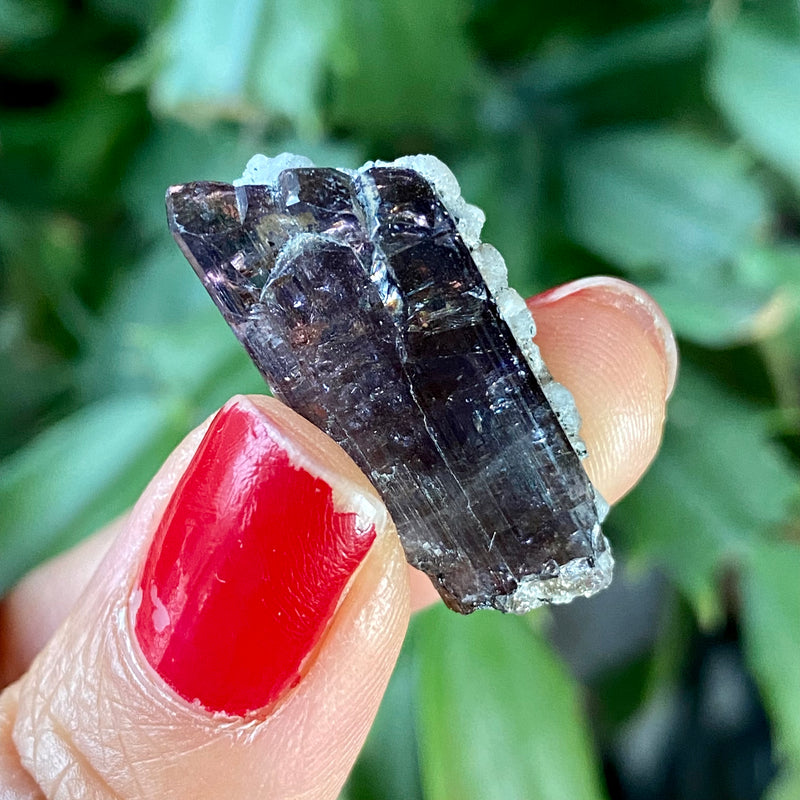 24.1 ct Natural Tanzanite Crystal from Lelatema Mountains, Merelani Hills, Tanzania