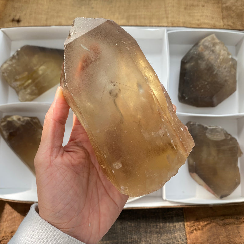6 Pieces of Natural Zambian Citrine, Wholesale Flat