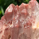 Leaning Ishuko Red Phantom Quartz Cluster, Hematite included Quartz from the Central Province of Zambia