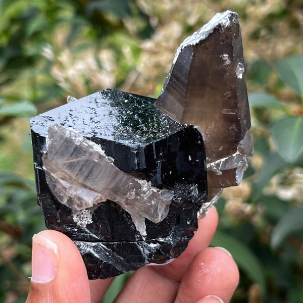Black Tourmaline Crystal with Smoky Quartz Antenna from Rondekop, Erongo Mountain, Erongo Region, Namibia