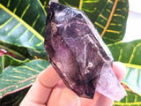 8.2 cm Shangaan Amethyst from Chibuku Mine, Zimbabwe