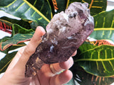 9.6 cm Shangaan Amethyst from Chibuku Mine, Zimbabwe