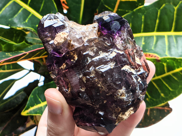 Shangaan Amethyst, 179 grams, from Chibuku Mine, Zimbabwe